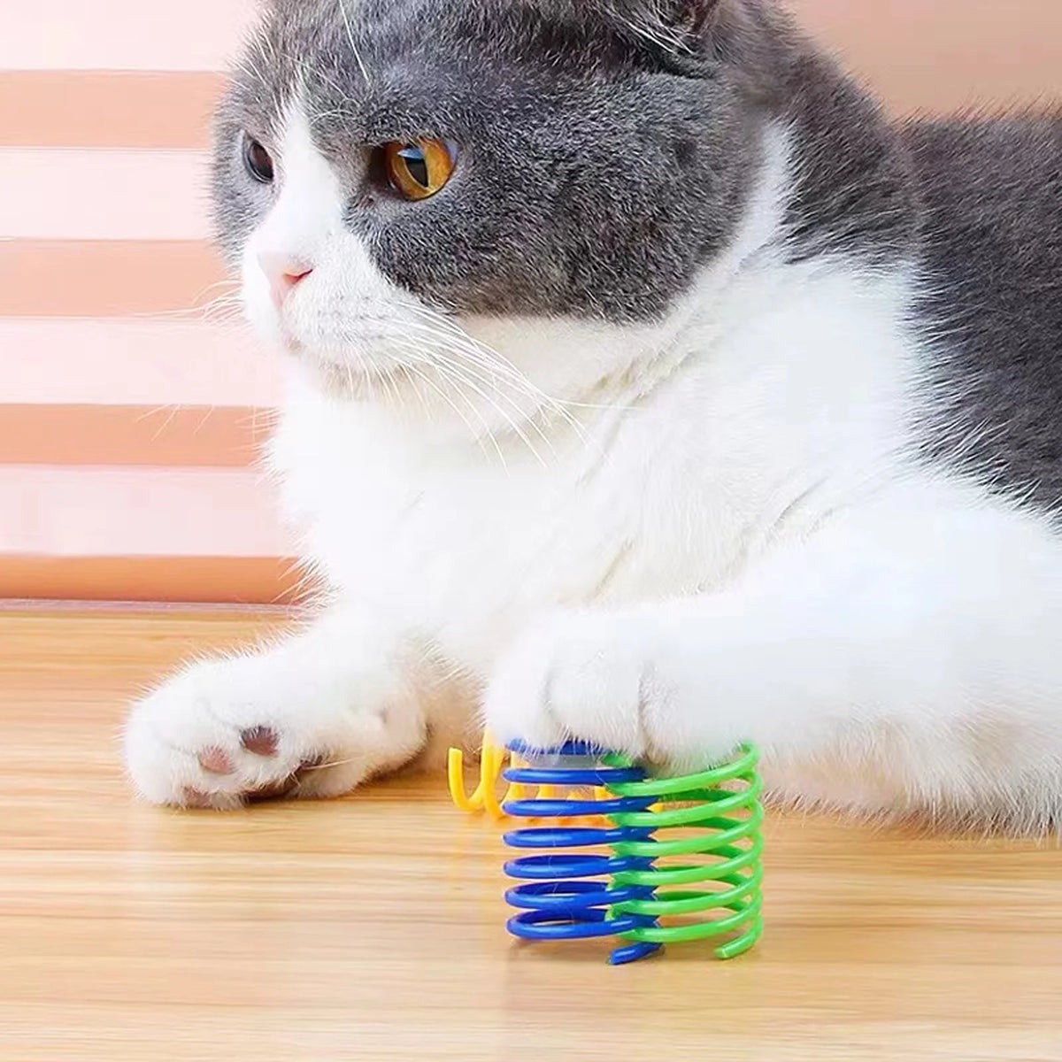 40-Pack Colorful Cat Spiral Springs - Durable Plastic Coils for Indoor Play, Ideal for Swatting, Biting, and Hunting